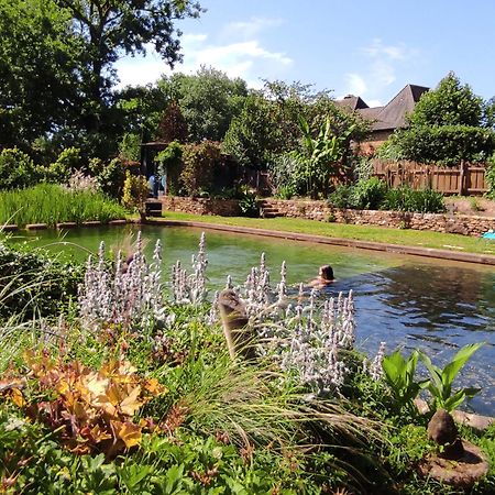 Maison De Charme, Piscine Naturelle Dordogne Perigord Prats-du-Périgord Εξωτερικό φωτογραφία